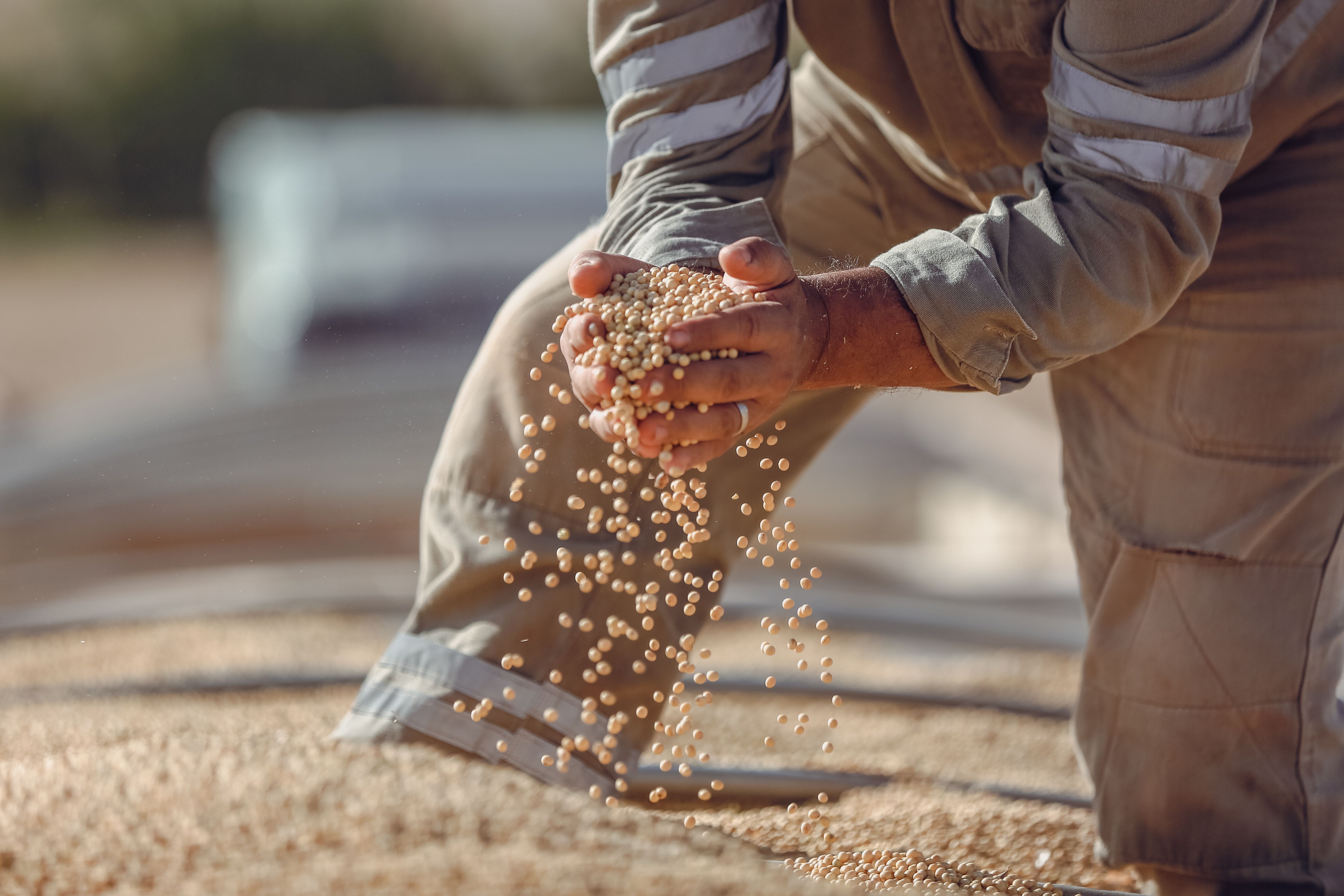 Agro Commodities