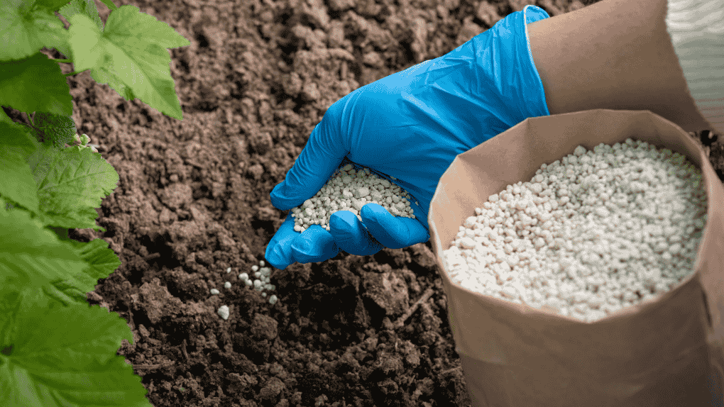 Fertilizers